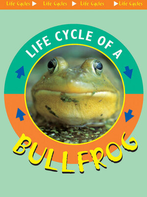 cover image of Bullfrog